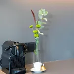 Aparthotel Tt-rooms - Kontaktlos Mit Self Check-in I Free Parking