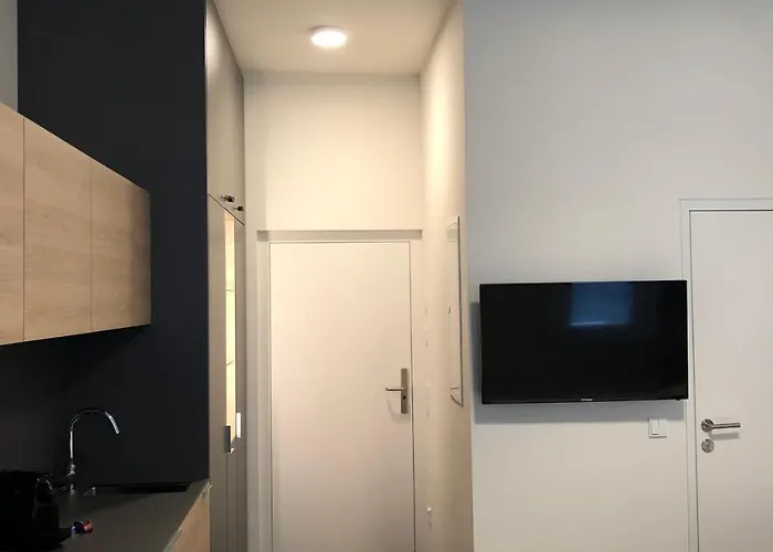 Tt-rooms - Kontaktlos Mit Self Check-in I Free Parking شقة فندقية غراتس